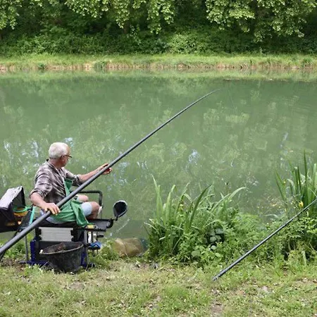 Kemping Mobil-home Cosy Avec Terrasse Au La Motte - Api-1-52-575 *