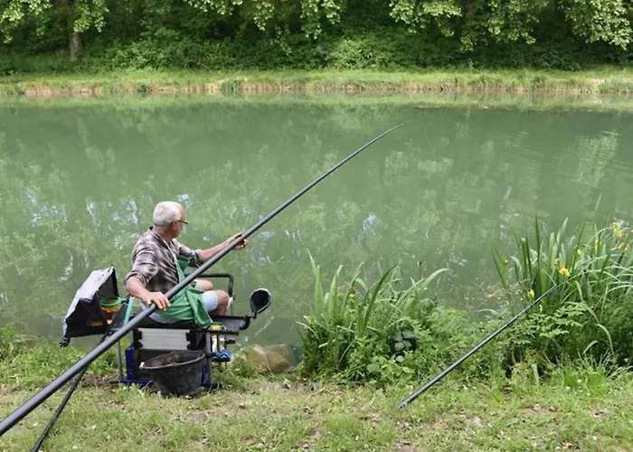 Campsite Mobil-home Cosy Avec Terrasse Au La Motte - Api-1-52-575